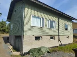 Omakotitalo rauhallisella alueella