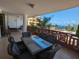 Luxe Beachfront Apartment