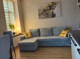 Apartament Altbau Słubice