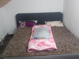 Pensiunea Leo，位于上维谢乌的木屋