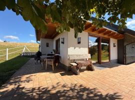 Chalet Landsitz，位于迪波尔迪斯瓦尔德的木屋