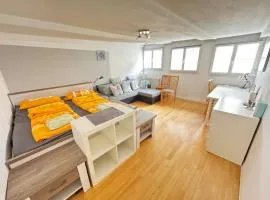 Light flat in Goettingen