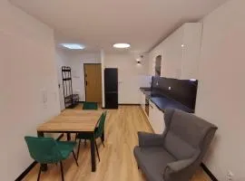 Podłęże Trawniki Industrial Zone