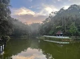 A3-6-1Silverpark LuxMountsin view Lifted unit