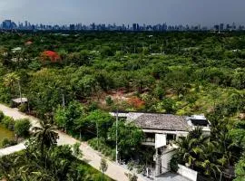 Coconut Lane Bangkok