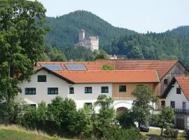 费里恩霍夫斯坦泽尔住宿加早餐旅馆