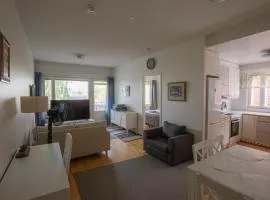 Mid Haven Cozy Apartment with Sauna, Glassed Balcony and Free Parking