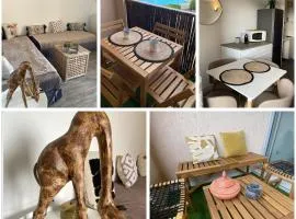 L'ecrin balinais T2 piscine climatisation