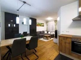 Wunderschönes Apartment im Zentrum von Wels