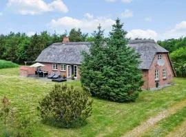 10820-Ulfborg-Baekbyvej-113