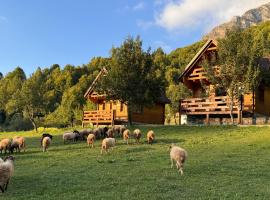 Bujtina Pepushaj Lepushe，位于Lëpushë的酒店