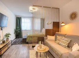 Altstadt Apartment am Breiten Turm