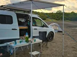 Converted Camper Vans by Wolf Camp Georgia