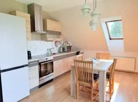 Anny's Downtown Apartment