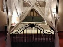 Waterfront Sunset Cabin with Patio and Firepit 2 bdrm