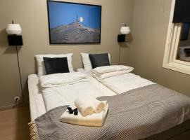 Big central house with a view free parkingE31，位于纳尔维克的酒店