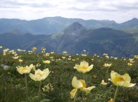 VVF Le Lioran Les Monts du Cantal，位于圣雅克·德波尔的度假园