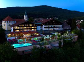 Wellnesshotel Hofbräuhaus，位于博登迈斯的酒店