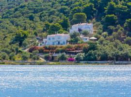 阿里亚丹尼别墅公寓，位于斯基亚索斯镇的酒店