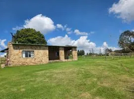 Treeferns Trout Lodge