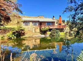 Treeferns Trout Lodge