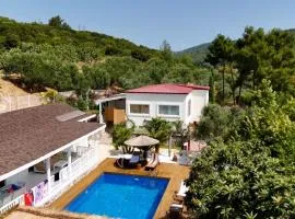 Casa del Olivia