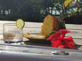 Beach apartment, Ti Clé de Lo，位于黑角的酒店