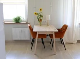 Močiutės apartamentai