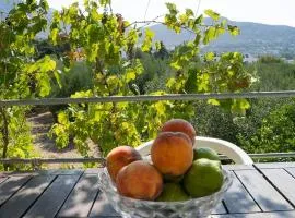 Panormos,Irene's studios