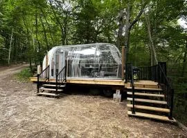Studio Capsule House in Parry Sound #31