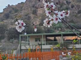 Cactus Bloom زهرة الصبار，位于塔伊夫的木屋