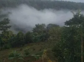 The white elephant garden