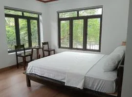 Tam Coc Mountain Light Homestay