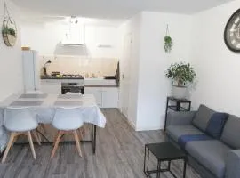 Appartement dans le centre historique - Montsalvy