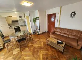 Le Clos Mauron Numéro 12