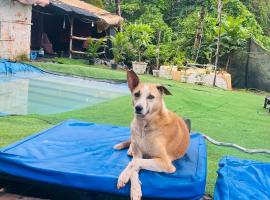 Vibe Stay by Andaz，位于阿姆波尔的酒店