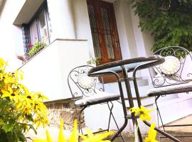 Casa cu trandafiri，位于巴亚马雷的住宿