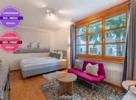 Very Central Lenzerheide Studio with Garage & Smart TV For Relax & Adventure