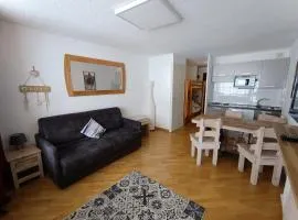 Studio rénové, accès pistes, parking - FR-1-445-146