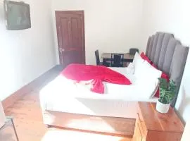 Neo & Ruks Guest House Boston Belleville 9