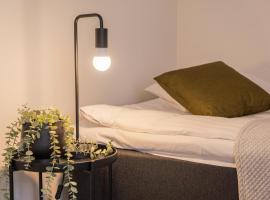 Snowflake IX，位于罗瓦涅米的酒店