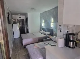 Studio Complex Alfa&Beta Saturn la parter cu terasa