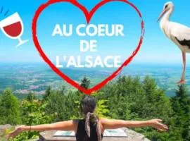 Plaisirs d'Alsace - Munster - Colmar - Route du vin