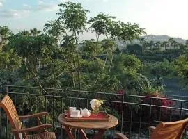 Agriturismo Il Sole e Il sale