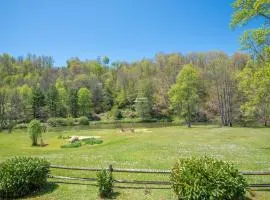 1 Bedroom Cabin Overlooking New River-- Sleeps 4, Dogs OK, Fire Pit & More