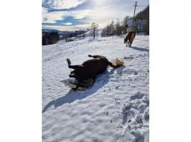 Holiday apartment in St Peter with balcony
