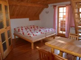 查鲁帕安布拉山林小屋