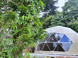 GLAMFOREST Okinawa 名護