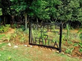 Harties Is Africa Safari Lodge