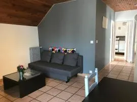 Maison 8 pers St Lary 7 min et Val Louron 10 min